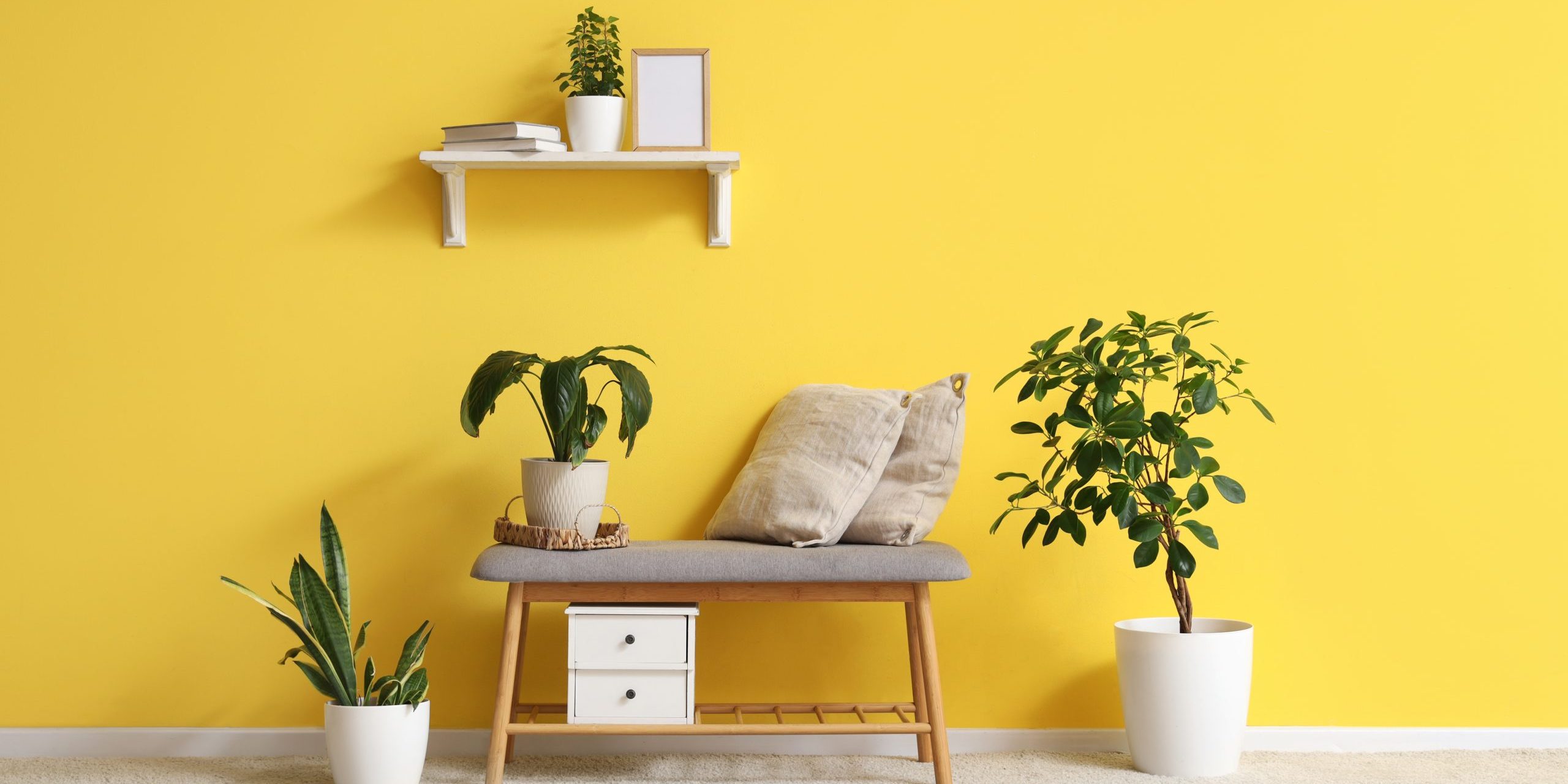 yellow office estetyczna ściana w kolorze opublikowanych - illuminating yellow